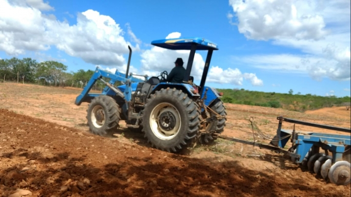 Corte de terras beneficia agricultores de São Miguel